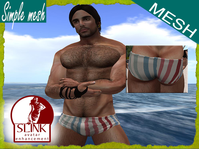 SM Striped Hot Speedo SLINK