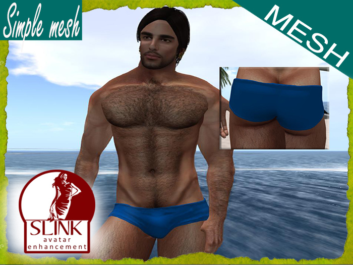 SM Blue Hot Speedo SLINK