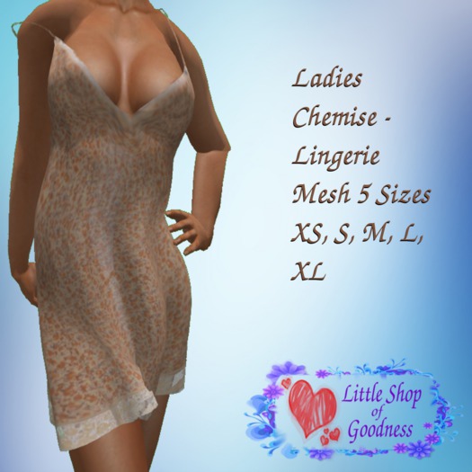 Beige Floral Chemise - Lingerie Off Shoulder  Mesh