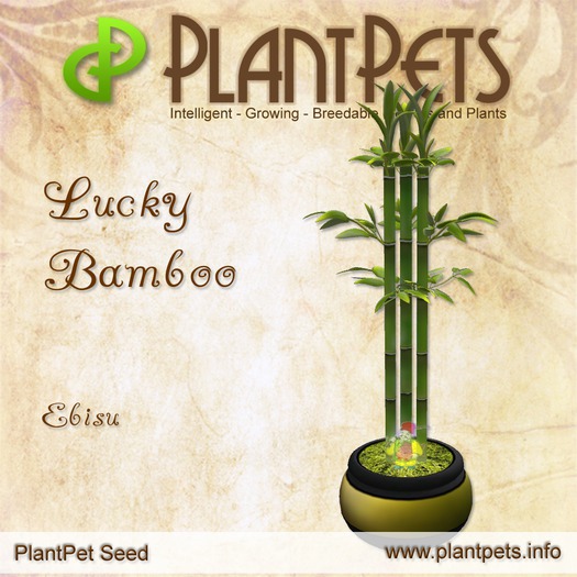 PlantPet Seed [Lucky Bamboo *Ebisu*] RARE