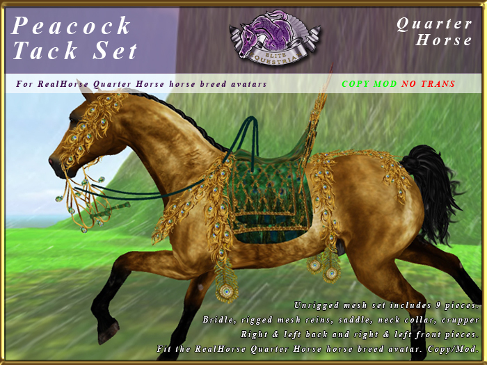 *E* Peacock Saddle Set [BOXED] RHQH