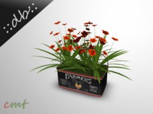 ::db:: Vintage Metal Bucket with Orange and Red Flowers