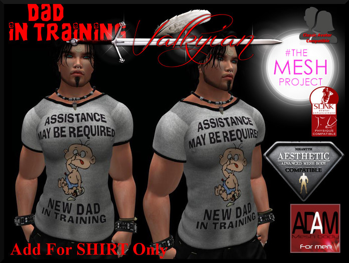 ~Valkyrian~Dad in Training- TSHIRT FITTED MESH(BOXED)