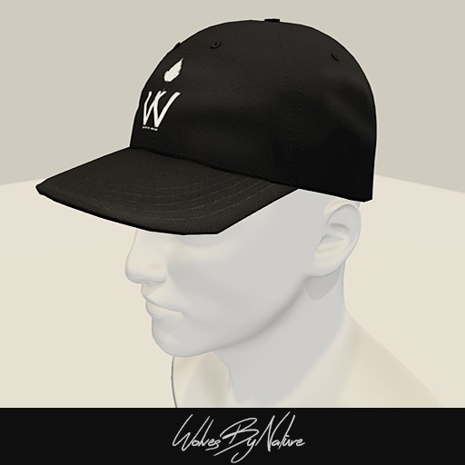 WBN'Logo black sb.