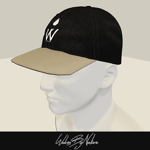 WBN'Logo black Denim sb.