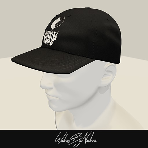WBN'Logo 2 black sb.