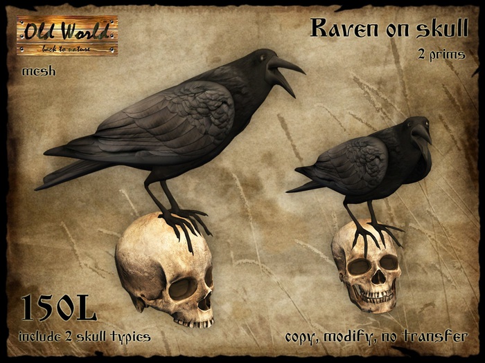Raven on skull - Old World - Medieval / Hellowen decorations