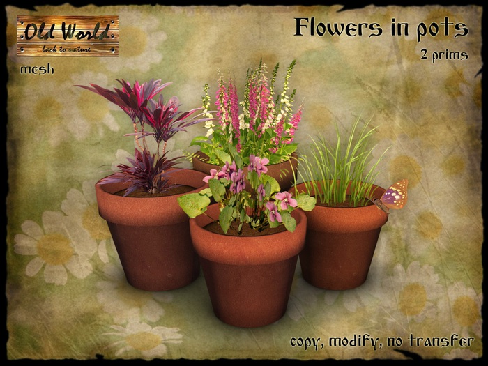 Flowers in pots v2  - Old World - Home Decorations
