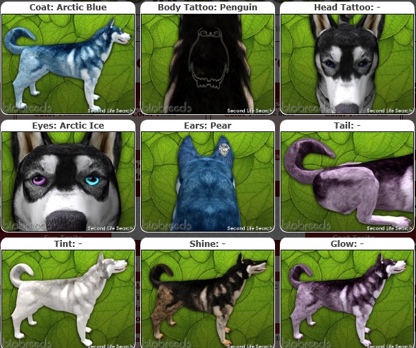 BB Husky Box [F] Arctic Blue/ Pear/Arctic Ice