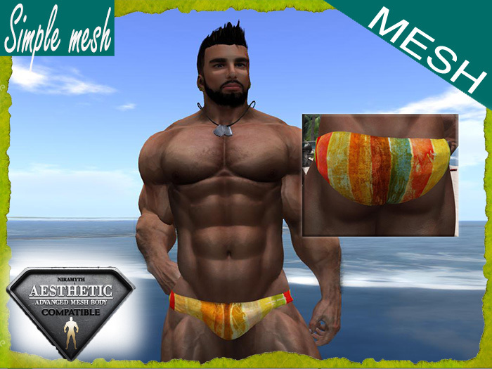 SM Stripes Speedo Aesthetic