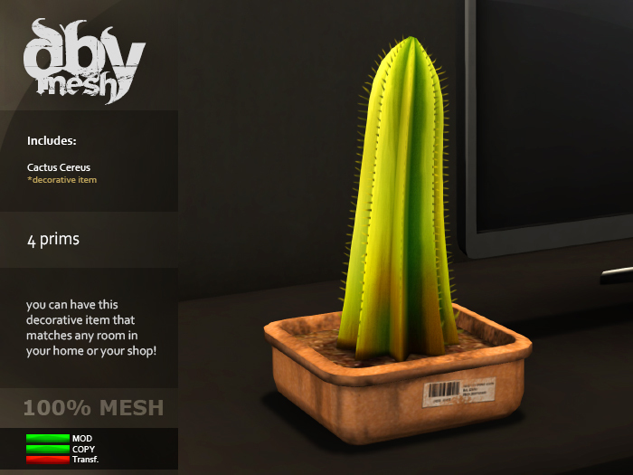 Cactus Cereus // DBy