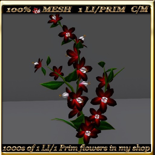 LW_ Swingtime Flowering Bush -