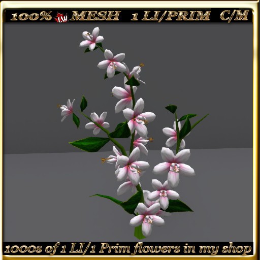 LW_ Swingtime Flowering Bush - 3