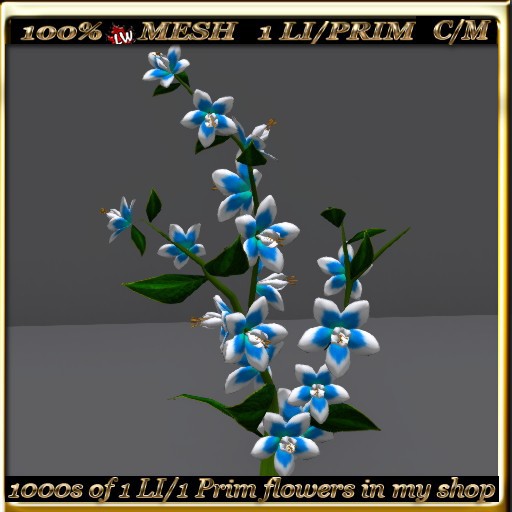 LW_ Swingtime Flowering Bush -