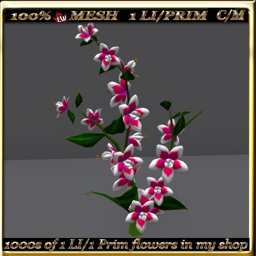 LW_ Swingtime Flowering Bush -