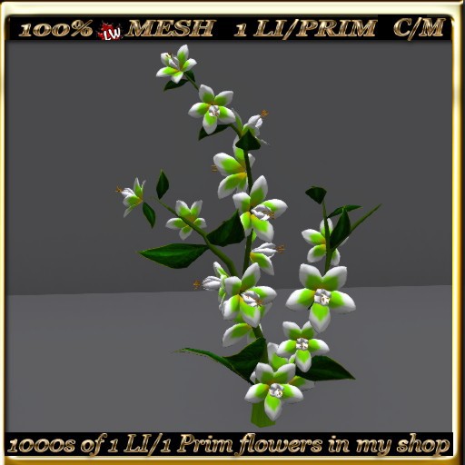 LW_ Swingtime Flowering Bush -