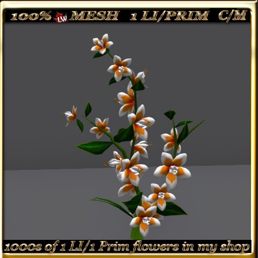 LW_ Swingtime Flowering Bush -