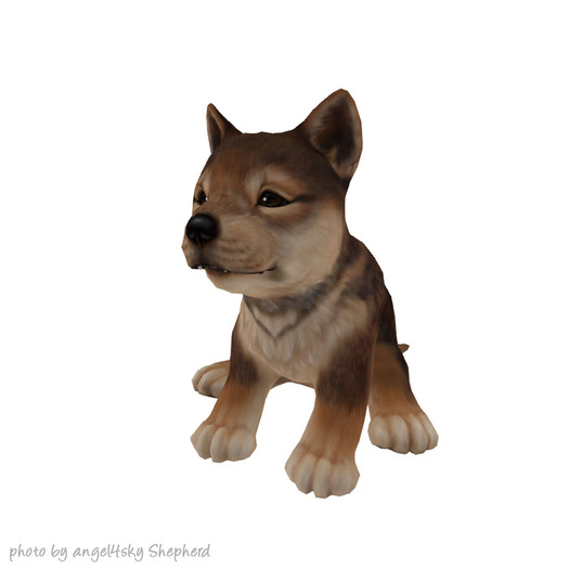 JIAN :: Silly Shibes - Wander Sesame Fade (EP BOX)