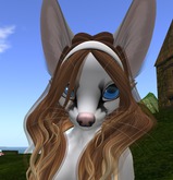 *CT* Curious Ringtail Mesh Hair Fix 