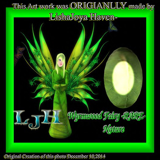 Wyrmwood Fairy Faery COMMON -ORANGE 1