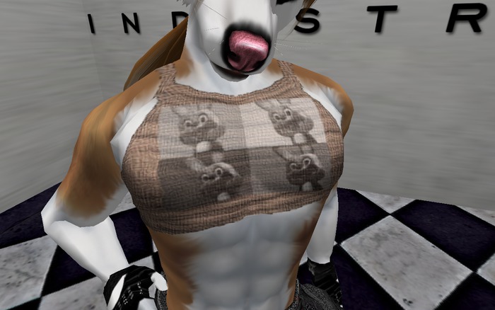 Bunneh Lift Tank [SR INDUSTRYS]