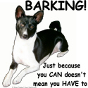 Basenji Teeshirt Single
