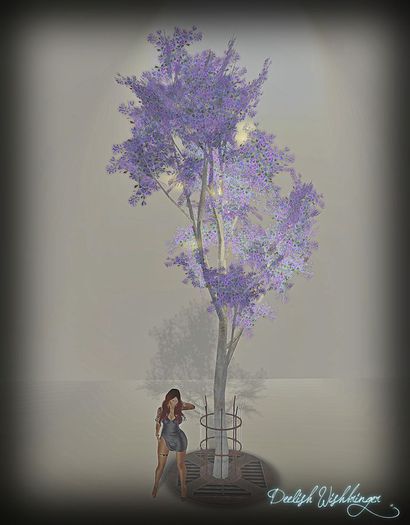 Street Tree Lavender Birch