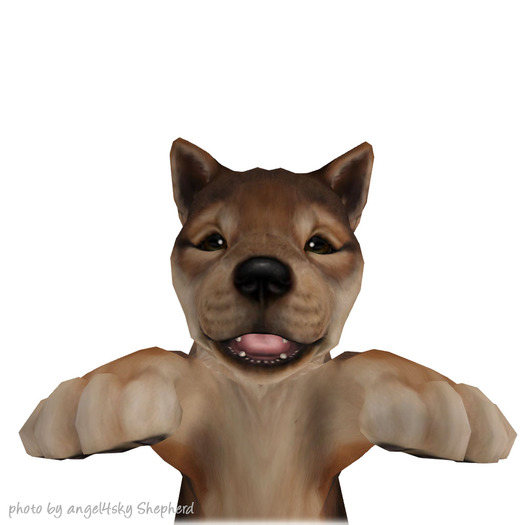 JIAN :: Silly Shibes - Held Pup Sesame Fade (BOX)