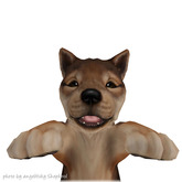 JIAN :: Silly Shibes - Held Pup Sesame Fade (BOX)