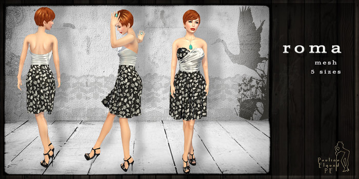 PE  - Roma 3 - vendor