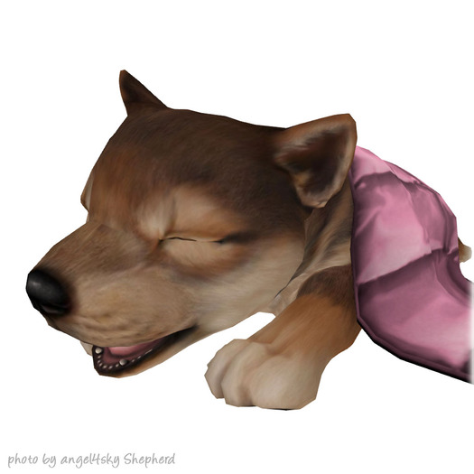 JIAN :: Silly Shibes - Sleepy Pup RARE (BOX)
