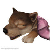 JIAN :: Silly Shibes - Sleepy Pup RARE (BOX)