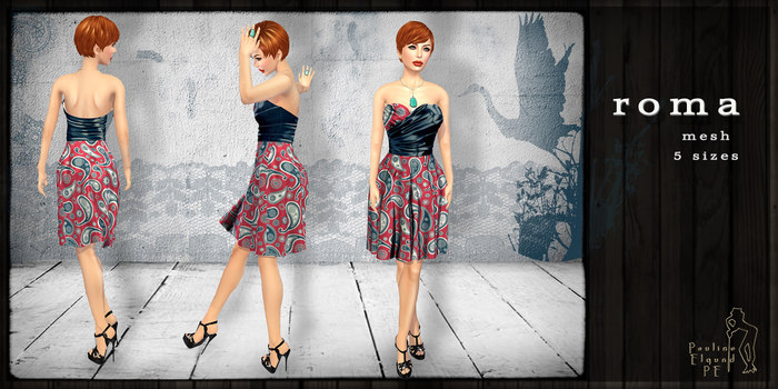 PE  - Roma 6 - vendor