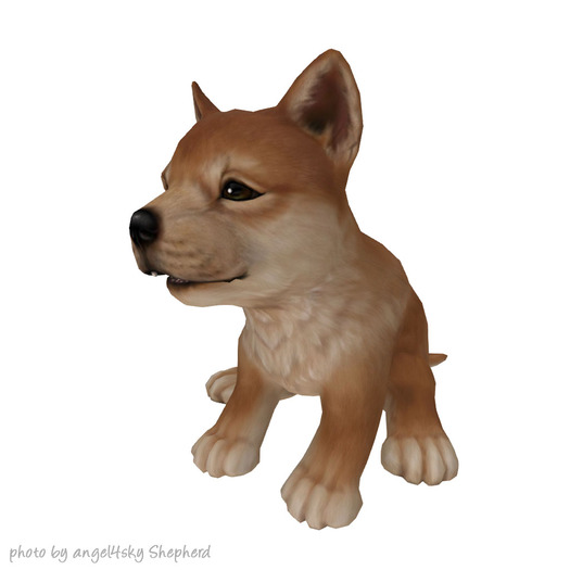 JIAN :: Silly Shibes - Wander Pup Sable (BOX)