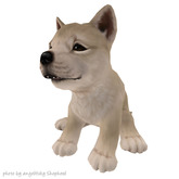 JIAN :: Silly Shibes - Wander Pup White (BOX)