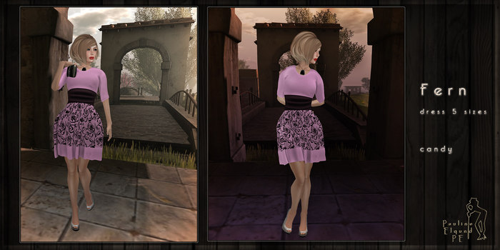 PE Fern candy - vendor