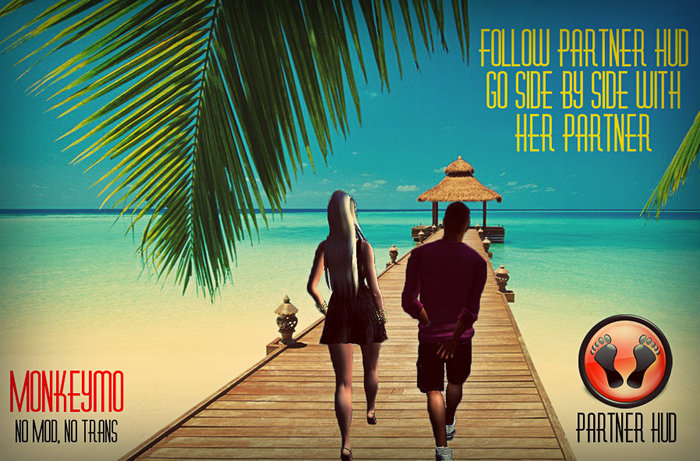 Follow Partner HUD ( Monkeymo )