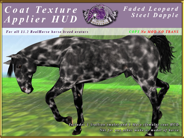 *E* RealHorse Coat Texture HUD [BOXED] Faded Leopard Steel Dapp