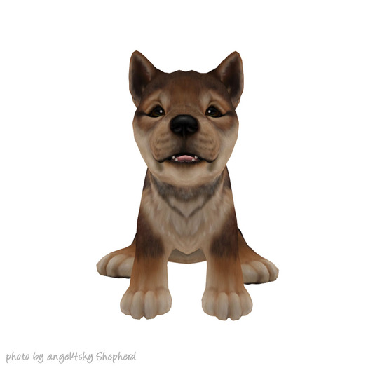 JIAN :: Silly Shibes - Companion Sesame Fade (BOX)