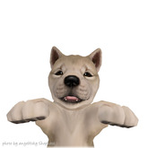 JIAN :: Silly Shibes - Held Pup White (BOX)