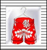 ❤ Pat A Kake Hawaii Boy Red Trunks❤ 