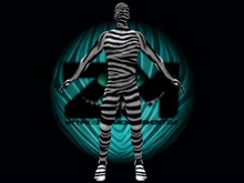 ZeSkin Zebra3