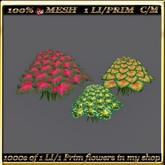 LW_3 Color Caladiums - 3