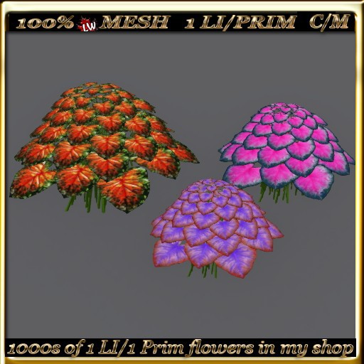 LW_3 Color Caladiums - 7