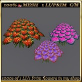 LW_3 Color Caladiums - 