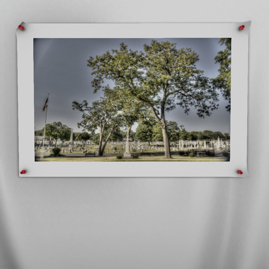 Holy Cross Cemetery Oversized Photography Print