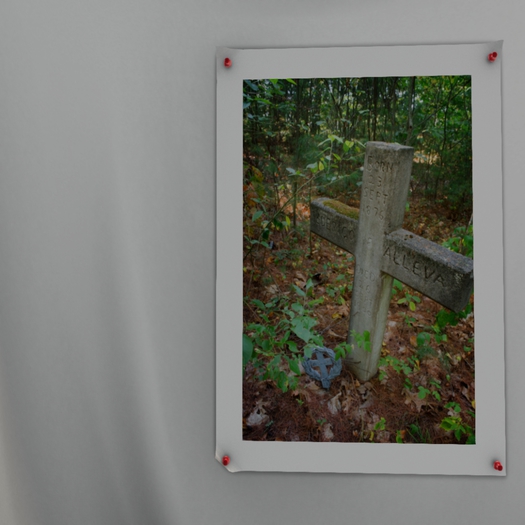 Tewksbury Hospital Cemetery Grave Oversized Photography Print