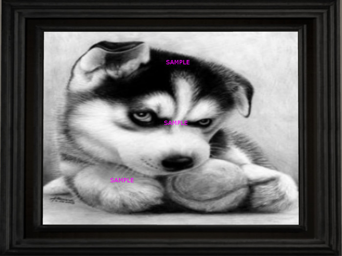 Baseball Husky (FRAMED ART)