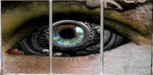 Steampunk Eye Canvas