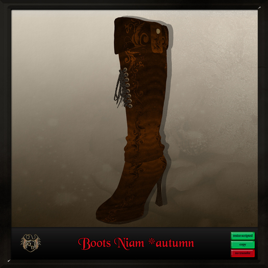 Boots *Niam (autumn)